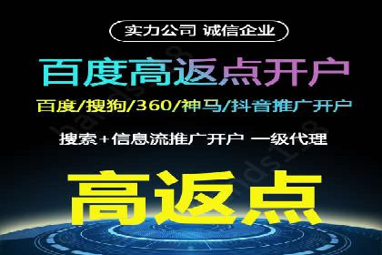 顶级SEM运营公司案例分析